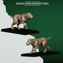 Feral Animals and Beastmasters Highlands Miniatures