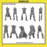 Skeleton Warriors Unit x7 + cmd - Bigusson - Druk 3d - Monstrous Encounters