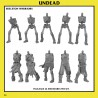 Skeleton Warriors Unit x7 + cmd - Bigusson - Druk 3d - Monstrous Encounters