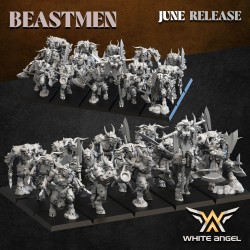 Heavy beast Warrior x 7 + cmd - Bigusson - Druk 3D - White Angels