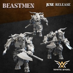 Heavy beast Warrior x 7 + cmd - Bigusson - Druk 3D - White Angels