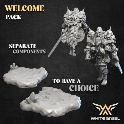 WANDERING VIKING - Bigusson - Druk 3D - White Angels