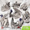 XENOS CRASHED SHIPS 1 - Bigusson - druk 3d - Txarli Factory