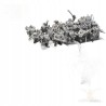 Dwarf Pirate x10 - Bigusson - Druk 3D - White Angels