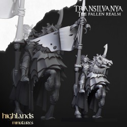 Vampire Knights x5 wraz z cmd - Druk 3d - Highlands Miniatures