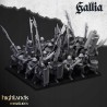 Gallia Men at Arms x 7 + cmd - druk 3d - Bigusson - Highlands Miniatures