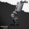 Gallia Men at Arms x 7 + cmd - druk 3d - Bigusson - Highlands Miniatures