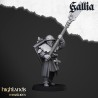 Gallia Men at Arms x 7 + cmd - druk 3d - Bigusson - Highlands Miniatures