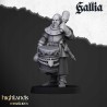 Gallia Men at Arms x 7 + cmd - druk 3d - Bigusson - Highlands Miniatures