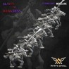 EDGAR RIDER x10 - Bigusson - 3D - White Angels