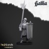 Gallia Men at Arms x 7 + cmd - druk 3d - Bigusson - Highlands Miniatures