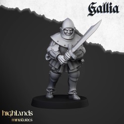 Gallia Men at Arms x 7 + cmd - druk 3d - Bigusson - Highlands Miniatures