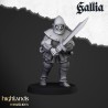 Gallia Men at Arms x 7 + cmd - druk 3d - Bigusson - Highlands Miniatures