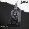 Gallia Men at Arms x 7 + cmd - druk 3d - Bigusson - Highlands Miniatures