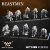 Beast Thing Wolf x5 - Beastmen | White Angels