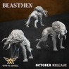 Beast Thing Wolf x5 - Beastmen | White Angels