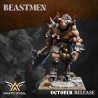 BEAST MINOTAUR x5 - Beastmen| White Angels