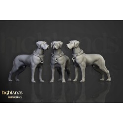 Inquisitorial Band x 9 - Bigusson - Druk 3d - Highlands Miniatures