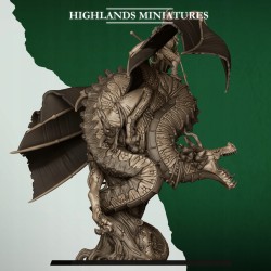 Feral Elves Prince on Feral Dragon