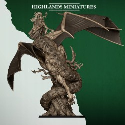 Feral Elves Prince on Feral Dragon