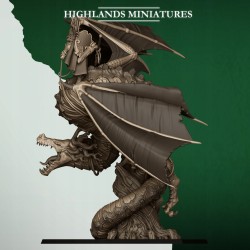 Feral Elves Prince on Feral Dragon