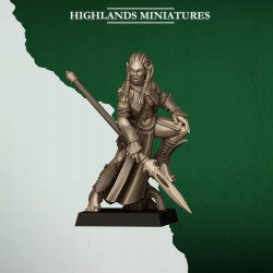 Feral Elves Bladesingers x10