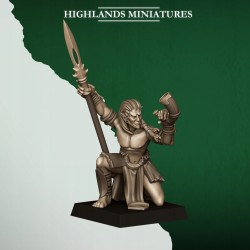 Feral Elves Bladesingers x10