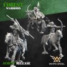 WOOD ARROW RIDER x10 - Forest Warriors | White Angels