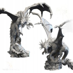 HIGH DRAGON - Bigusson - Druk 3d - White Angels