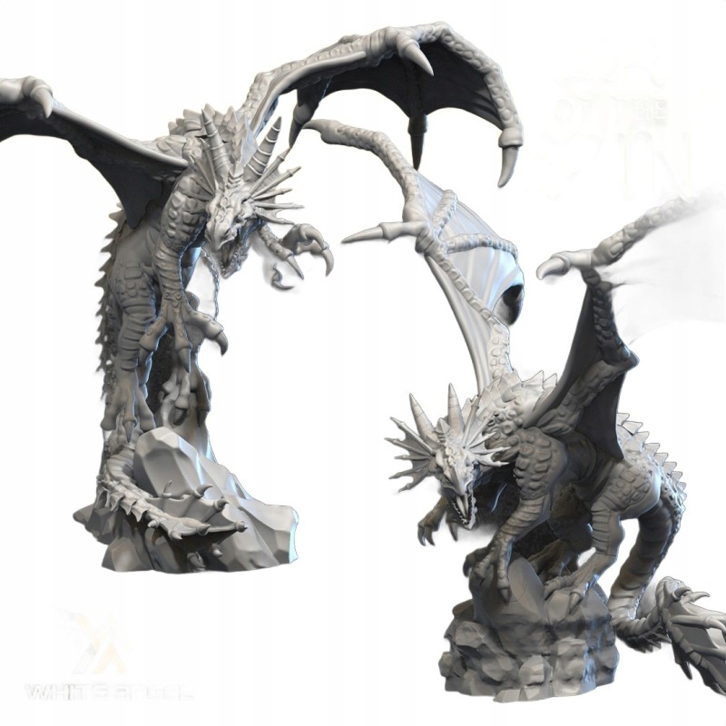 HIGH DRAGON - Bigusson - Druk 3d - White Angels