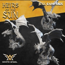HIGH DRAGON - Bigusson - Druk 3d - White Angels