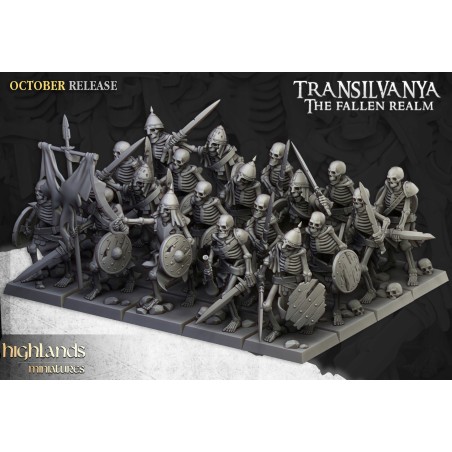 Skeleton Warriors with Swords Unit x7 + cmd - Bigusson-Highlands Miniatures