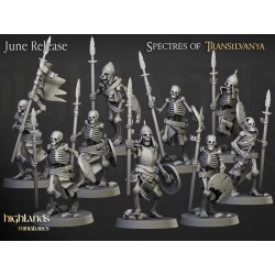 Skeleton Warriors Unit x7 + command - Bigusson - Highlands Miniatures