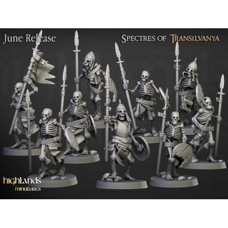 Skeleton Warriors Unit x7 + command - Bigusson - Highlands Miniatures