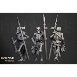 Skeleton Warriors Unit x7 + command - Bigusson - Highlands Miniatures