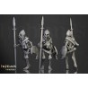 Skeleton Warriors Unit x7 + command - Bigusson - Highlands Miniatures
