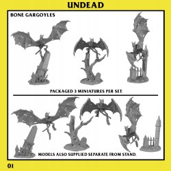 Bone Gargoyles Unit - Bigusson - Druk 3D - Wampiry - Monstrous Encounters