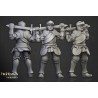 Sunland Knights on Foot x7 + command - Bigusson - Highlands Miniatures