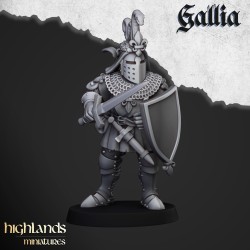 Knights of Gallia on Foot x 7 + cmd - druk 3d - Highlands Miniatures