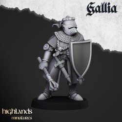 Knights of Gallia on Foot x 7 + cmd - druk 3d - Highlands Miniatures