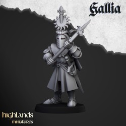 Knights of Gallia on Foot x 7 + cmd - druk 3d - Highlands Miniatures