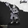 Knights of Gallia on Foot x 7 + cmd - druk 3d - Highlands Miniatures