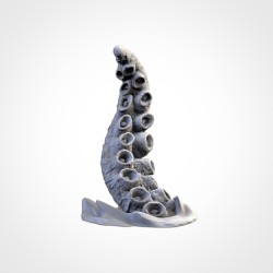 THE KRAKEN | Txarli Factory
