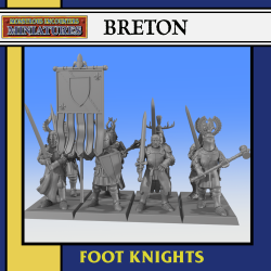 BRETON: Foot Knights Unit x 10| RPGs | Roleplaying | 32mm/28mm | Monstrous Encounters
