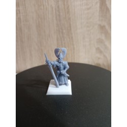 Druk 3D - Usługa Druku - Wydruki Żywica lub Filament - Bigusson Miniatures