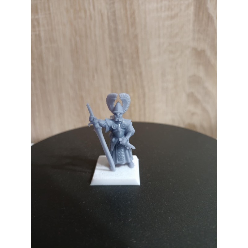 Druk 3D - Usługa Druku - Wydruki Żywica lub Filament - Bigusson Miniatures