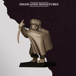 Hobgoblin Backstabbers x 10- Highlands Miniatures