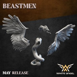 BEAST BIRD THING Bigusson Druk 3D White Angels