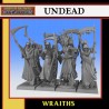 UNDEAD: Wraith Unit x 8- Monstrous Encounters