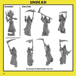 UNDEAD: Wraith Unit x 8- Monstrous Encounters